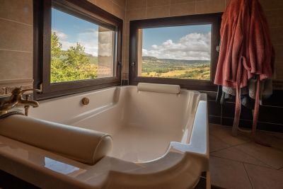 suite avec vue