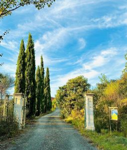 villeneuve de berg